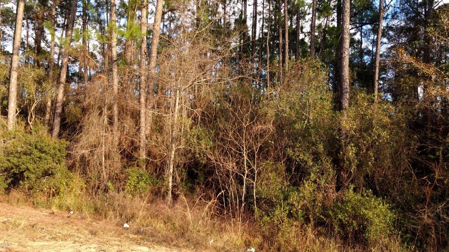 Lots of HWY frontage on HWY 90 W.