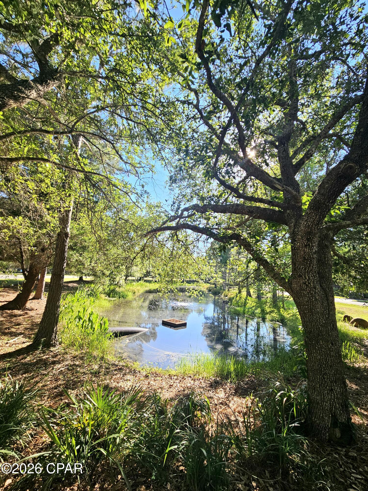Wild Heron Phase I - Land