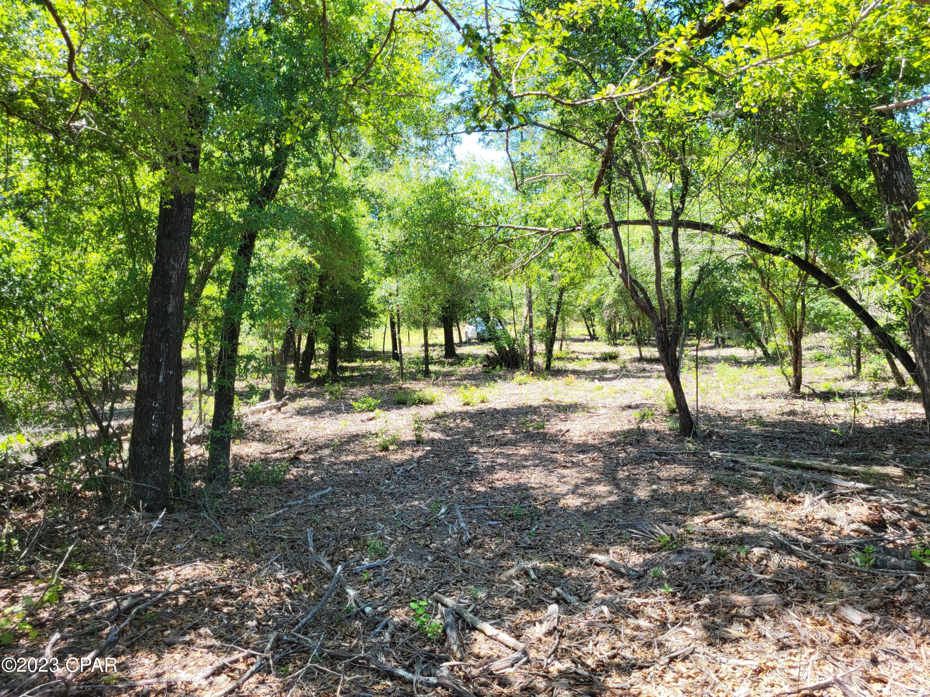 Compass Lake In The Hills - Land