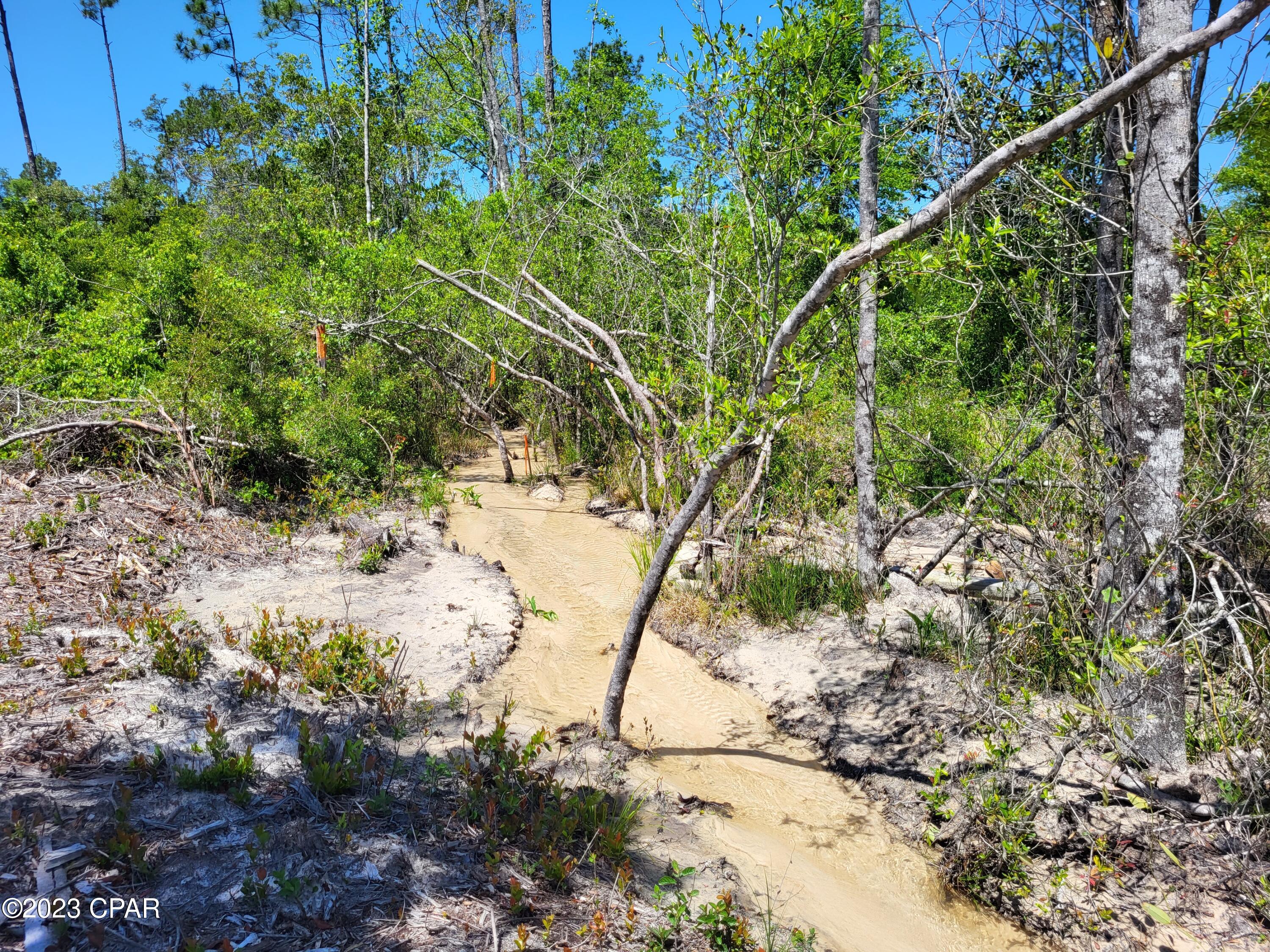Compass Lake In The Hills - Land