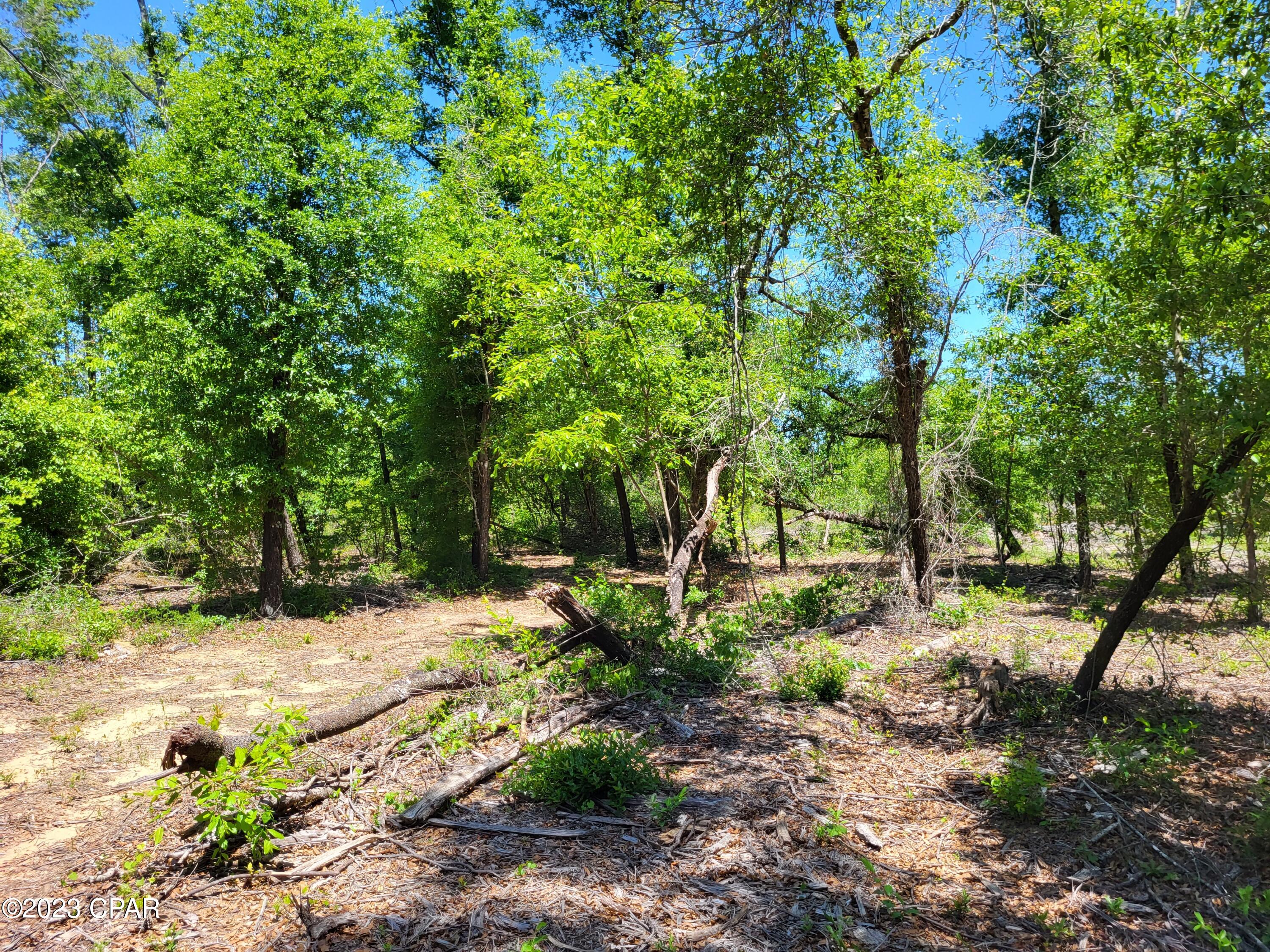 Compass Lake In The Hills - Land