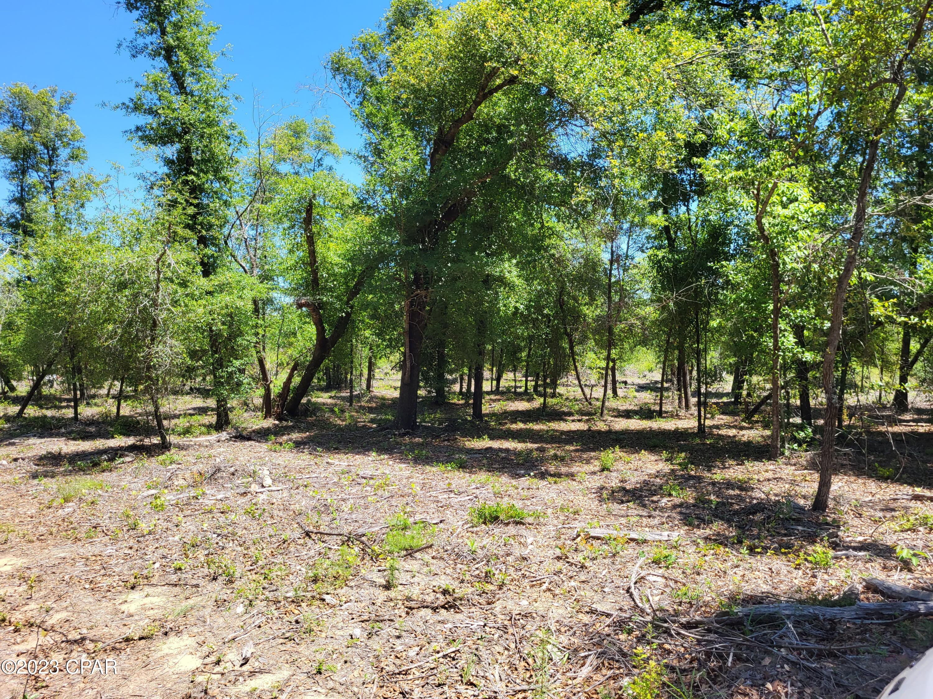 Compass Lake In The Hills - Land