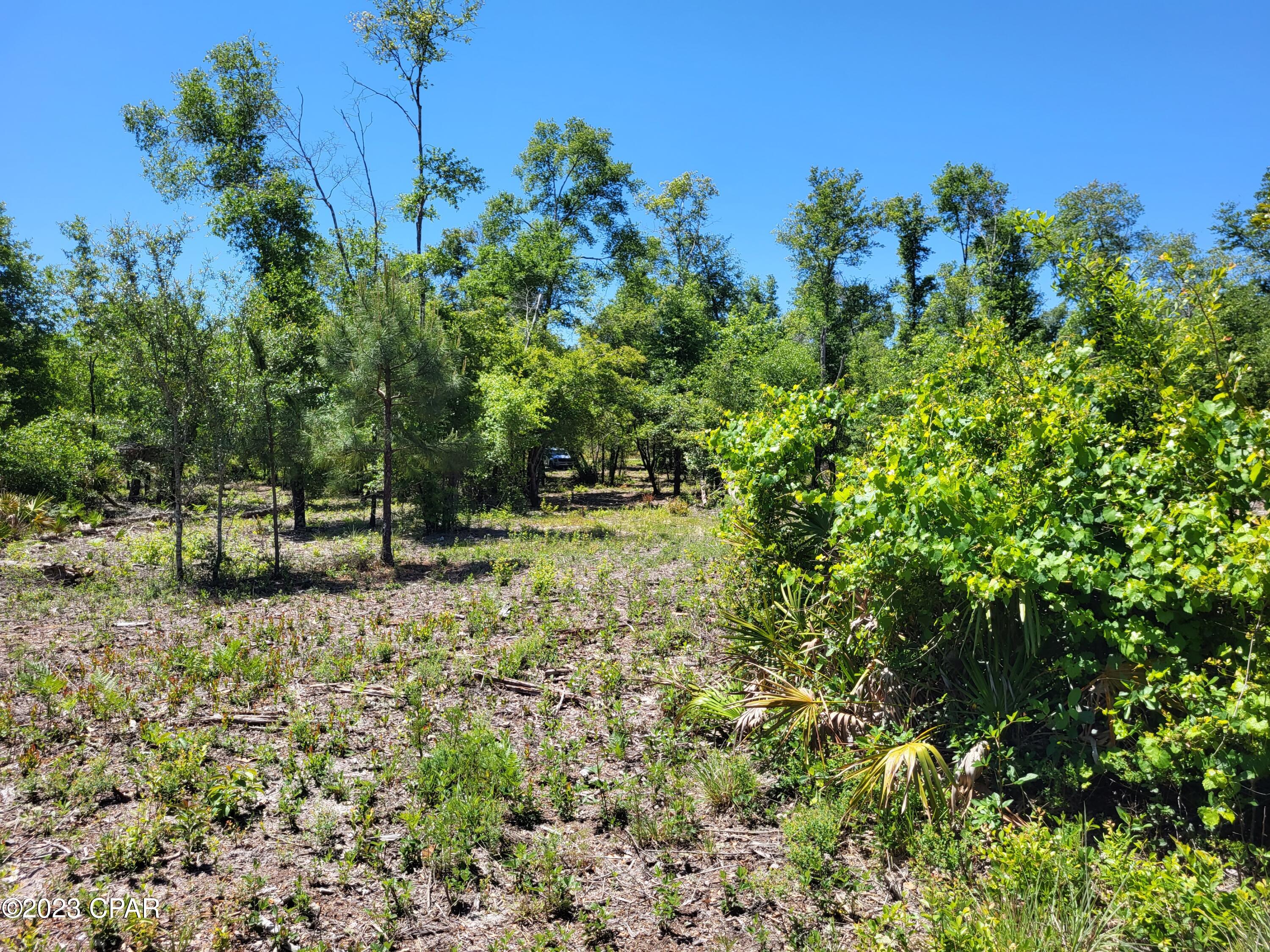 Compass Lake In The Hills - Land