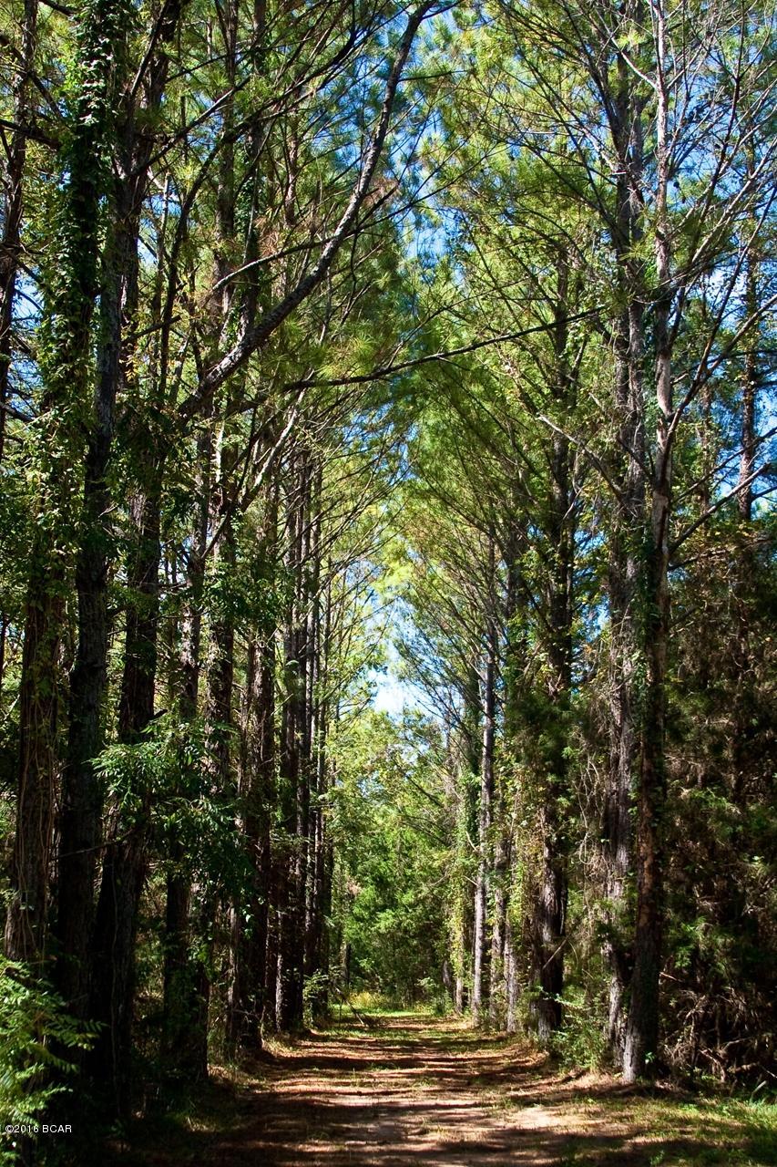 [No Recorded Subdiv] - Land