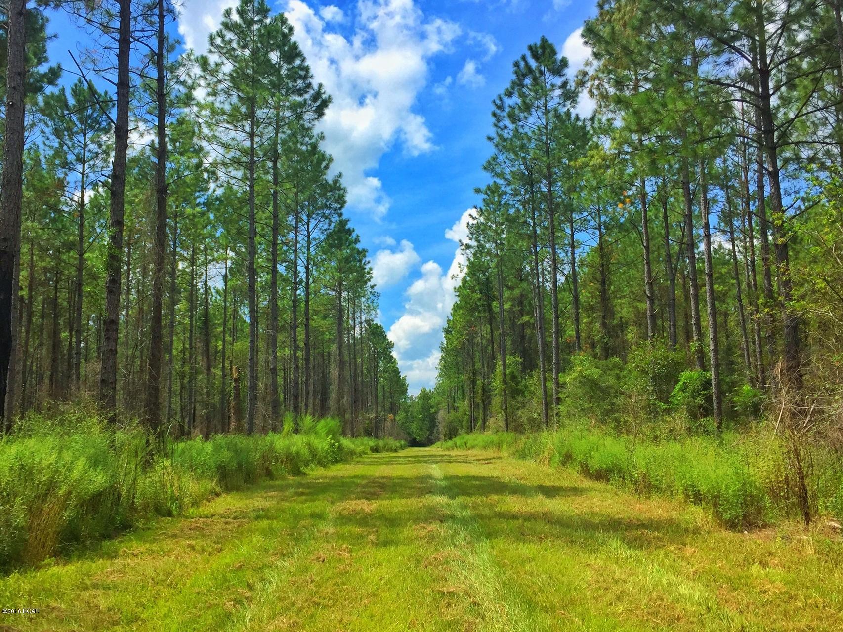 [No Recorded Subdiv] - Land