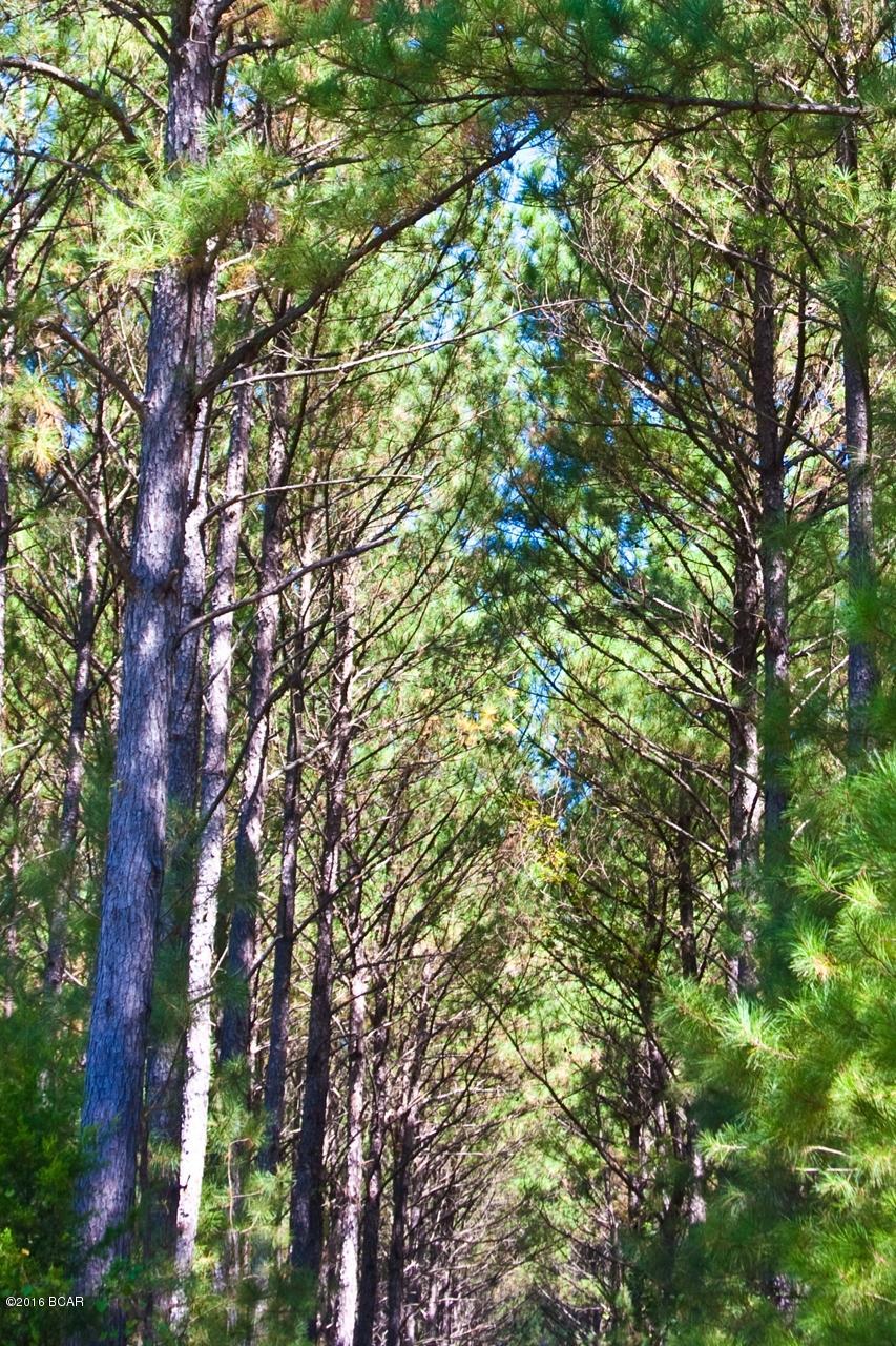 [No Recorded Subdiv] - Land