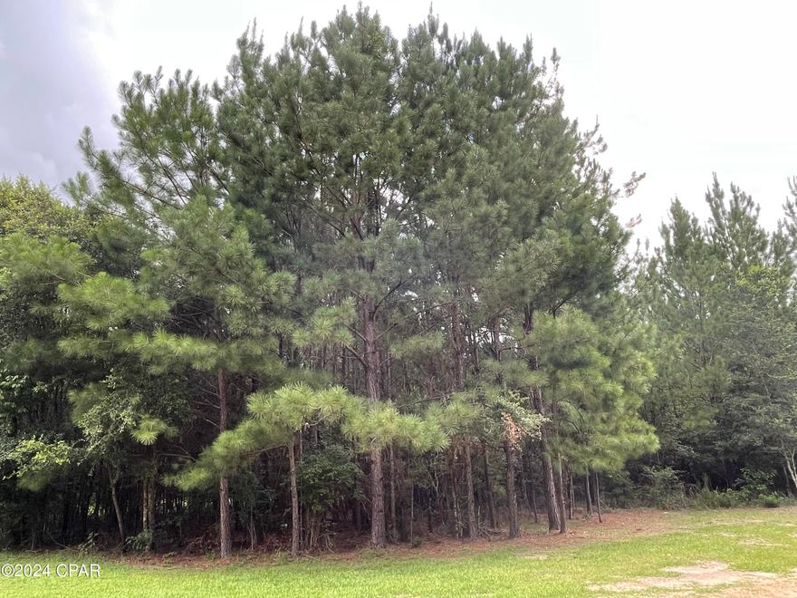 Looking for country living without the restrictions and big price tag?  Escape to the privacy of this beautiful 3-acre homesite in the heart of the Florida Panhandle. Located just outside the quaint southern town of Bonifay, FL, this parcel is high and dry and offers endless possibilities!  

There's ample space to create the home of your dreams - whether you build or bring in your own mobile home.  Surrounded by majestic hardwoods and pines, it is easy to imagine spending time with family and friends in this peaceful and private setting.   

This property offers the best of both worlds - seclusion and convenience.  Don't miss out on this rare opportunity to become a property owner at an affordable price!  Call today for more information and experience the charm of small-town living!

Additional information:
*Close access from newly paved county road - Hoover Mill Road (.18 miles)
*Mobile homes allowed
*High and dry parcel
*Farm animals allowed (chickens, goats, turkeys)
*6 miles to Bonifay, FL
*40 miles to Dothan, AL
*50 miles to Panama City Beach, FL