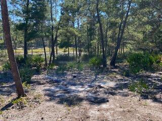 Wild Heron Phase VI - Land