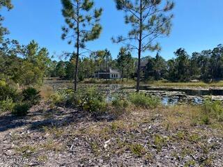 Wild Heron Phase VI - Land