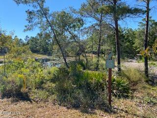 Wild Heron Phase VI - Land