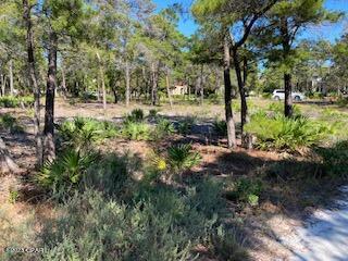 Wild Heron Phase VI - Land