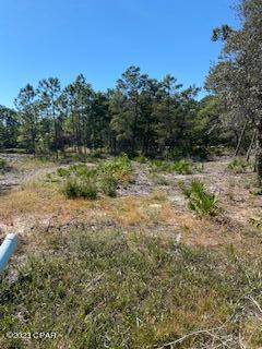 Wild Heron Phase VI - Land