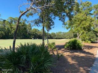 Wild Heron Phase VI - Land