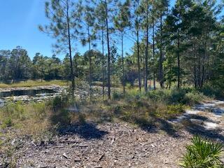 Wild Heron Phase VI - Land