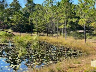 Wild Heron Phase VI - Land