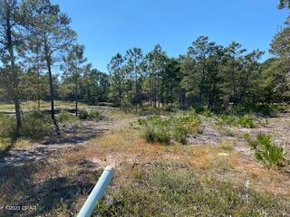 Wild Heron Phase VI - Land