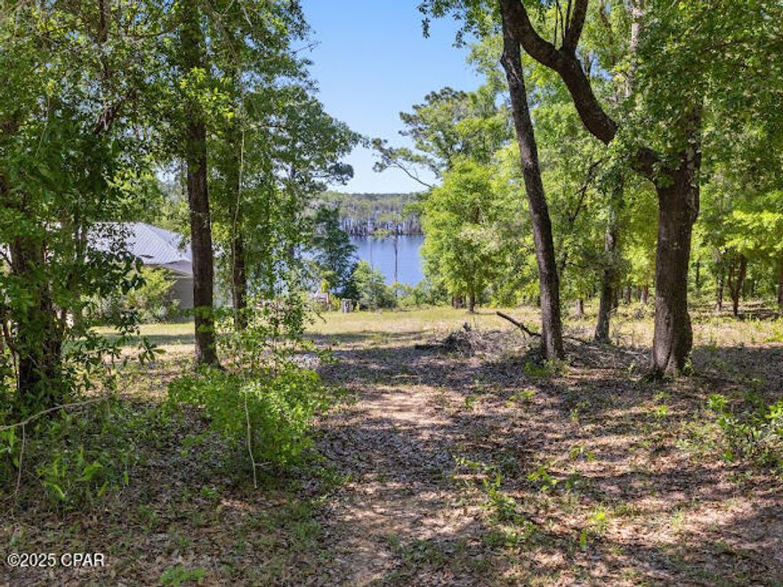 Discover your slice of paradise on this wooded parcel in the sought after Paradise Lakes Community. This is a great opportunity to have a lot that you get to choose which trees you would like to have to make your beautiful lakefront home unique with character. Enjoy fishing and boating perched on a beautiful bluff overlooking a stunning private lake with a private boat ramp just steps from this property. This lot offers peace and privacy in a quiet, gated community.  Enjoy nature all around while being centrally located-just minutes from Vernon, less than 30 minutes to Chipley, and only 30 minutes to Lynn Haven. A perfect setting for your dream home or private retreat.