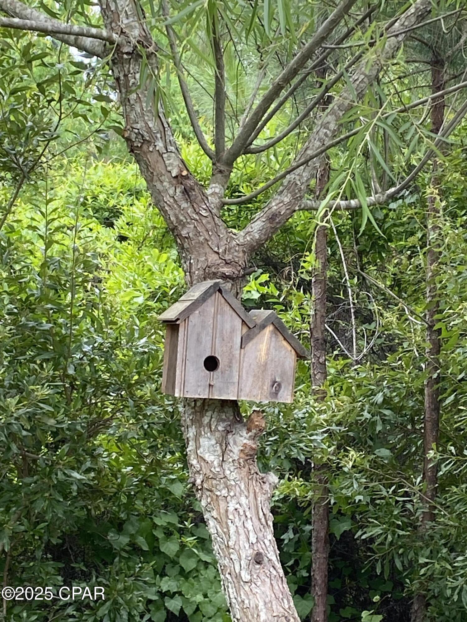 The Pines Of Lynn Haven - Residential