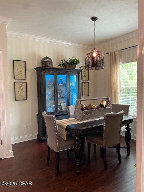 The Pines Of Lynn Haven - Residential