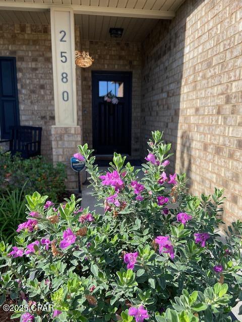 The Pines Of Lynn Haven - Residential