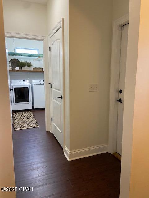 The Pines Of Lynn Haven - Residential