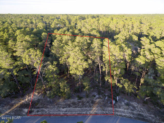 Wild Heron Phase XI - Land