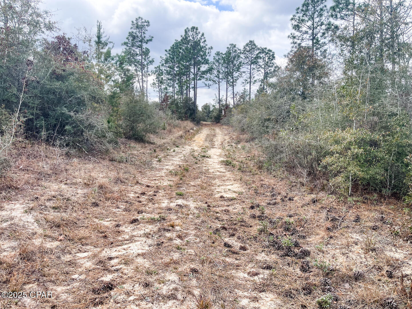 No Named Subdivision - Land