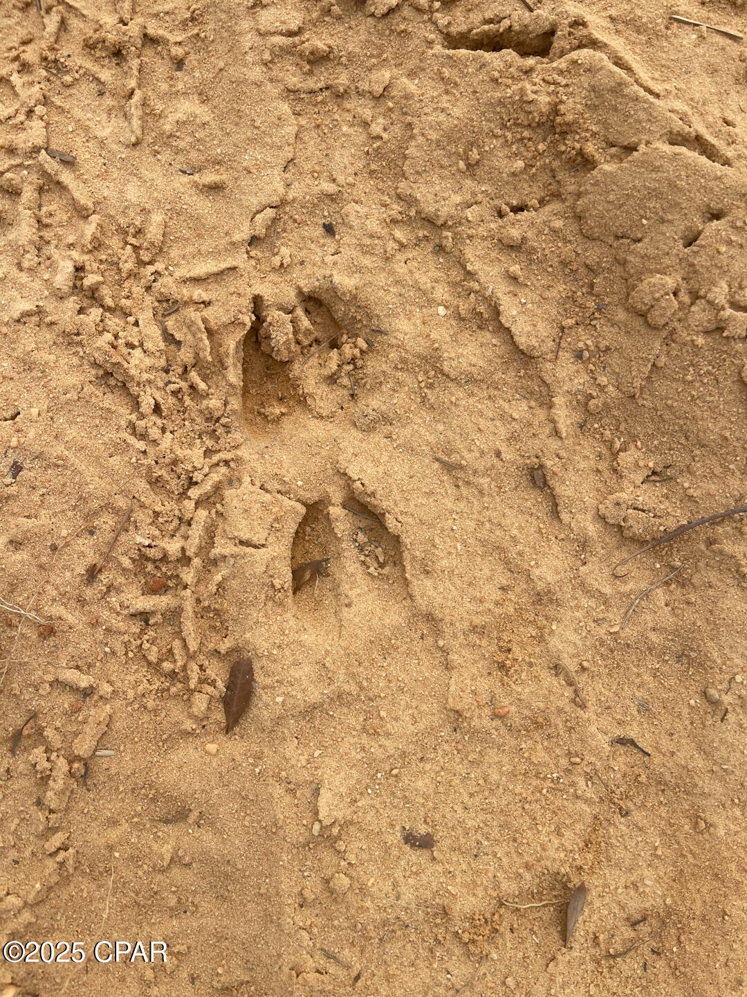 No Named Subdivision - Land