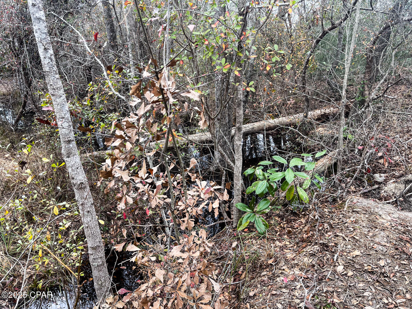 No Named Subdivision - Land