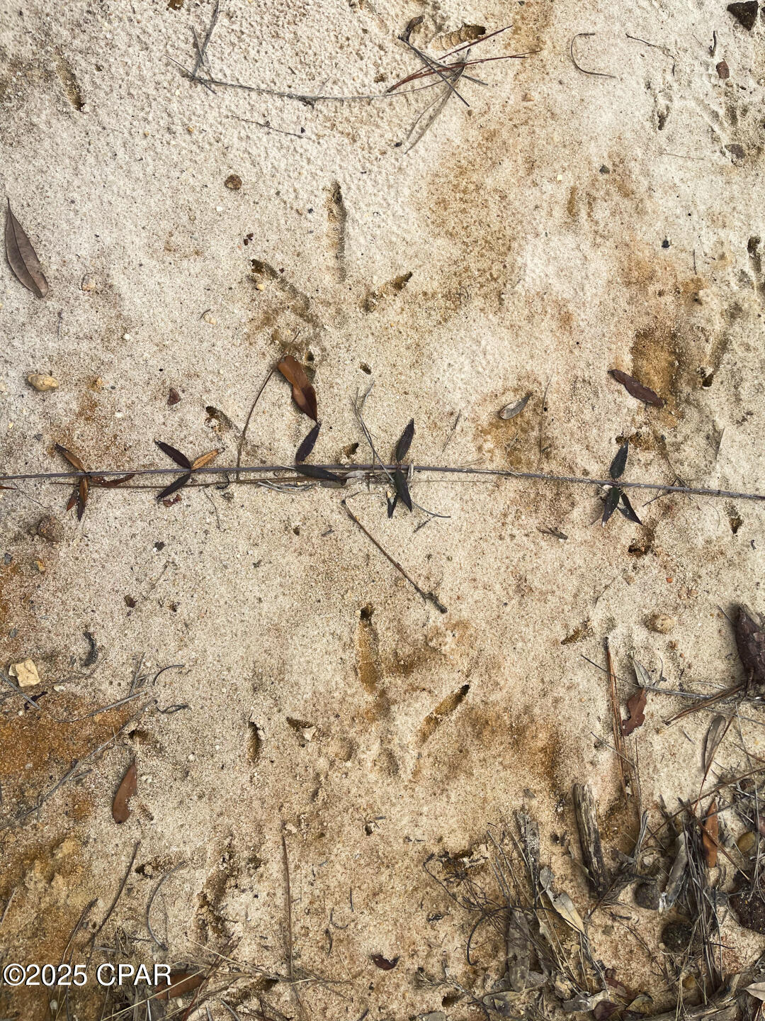 No Named Subdivision - Land