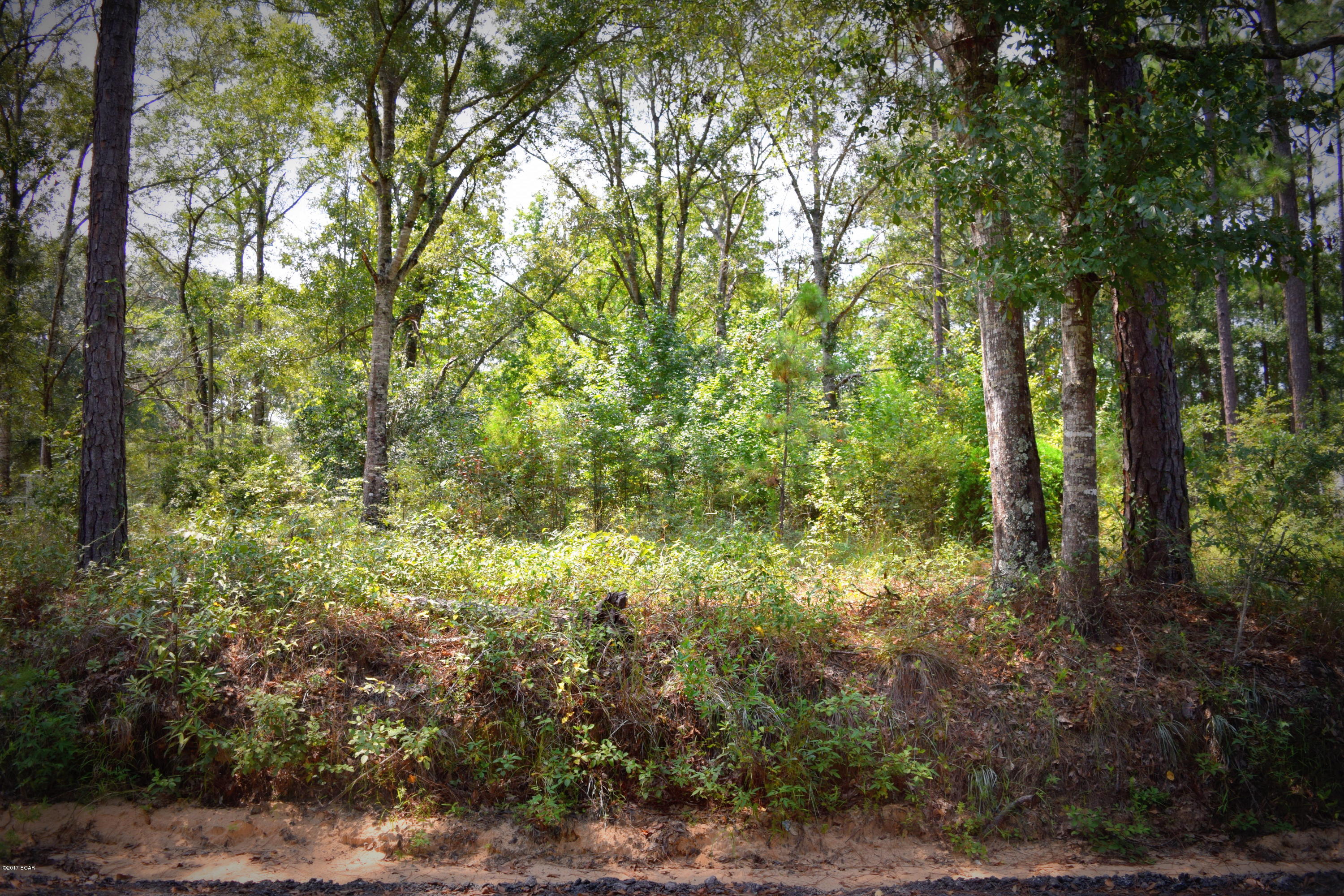 No Named Subdivision - Land