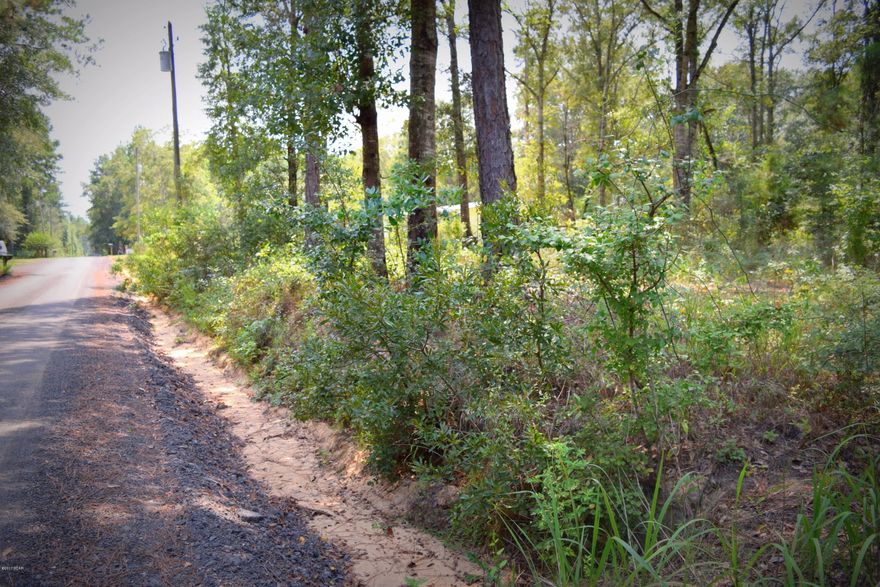 This 1 acre lot with well, septic and power would make a great new home site. Property is located just west of Chipley down a newly resurfaced road.