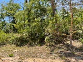 Compass Lake Hills Unit 5 - Land