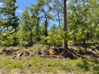 Compass Lake Hills Unit 5 - Land