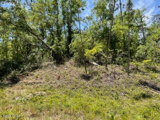 Compass Lake Hills Unit 5 - Land