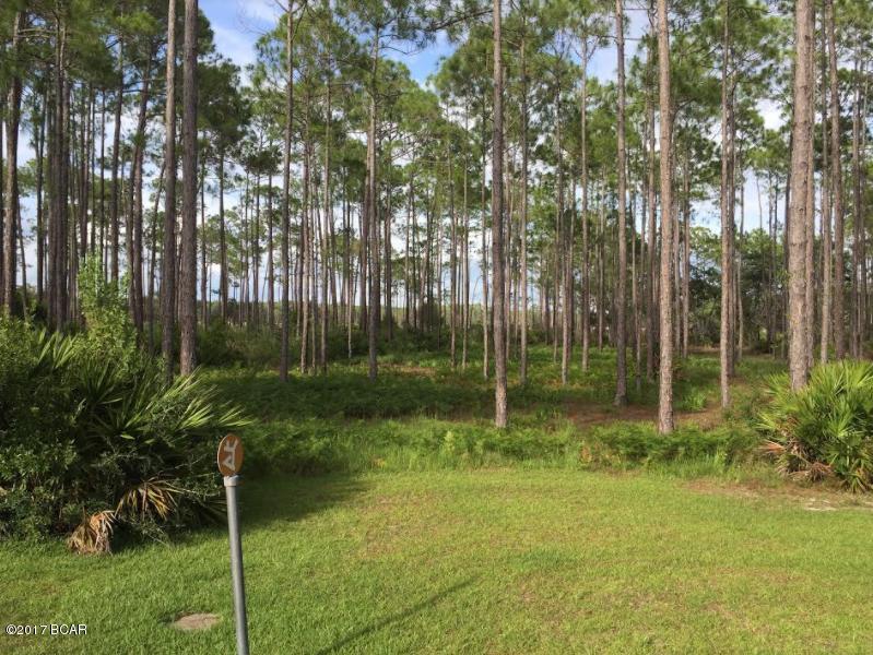 Rivercamps On Crooked Creek - Land