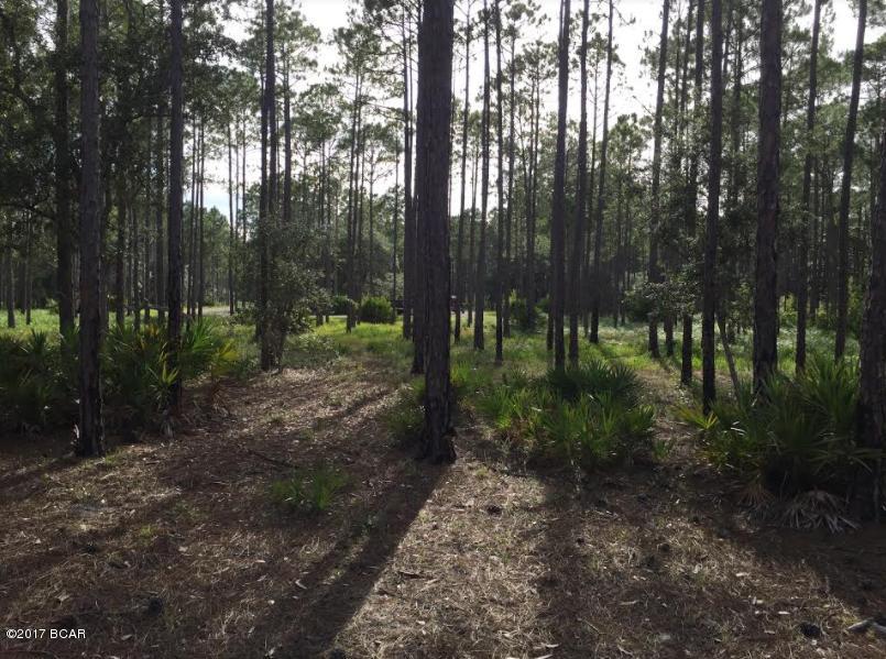Rivercamps On Crooked Creek - Land