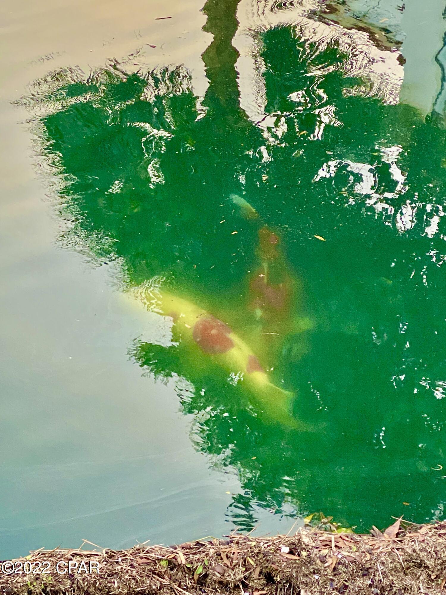 Plazas Of St.Thomas I - Residential