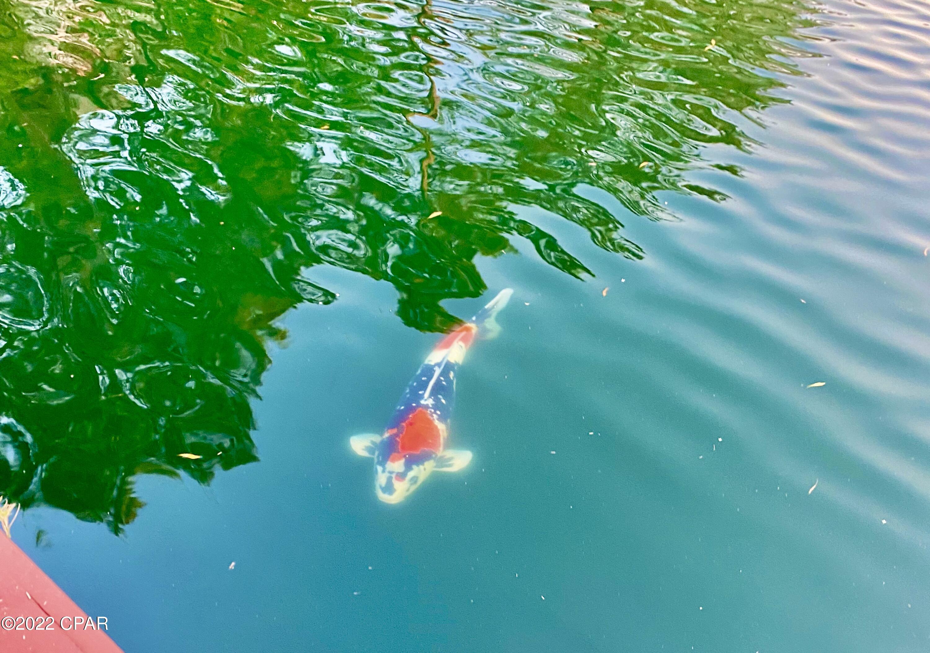 Plazas Of St.Thomas I - Residential