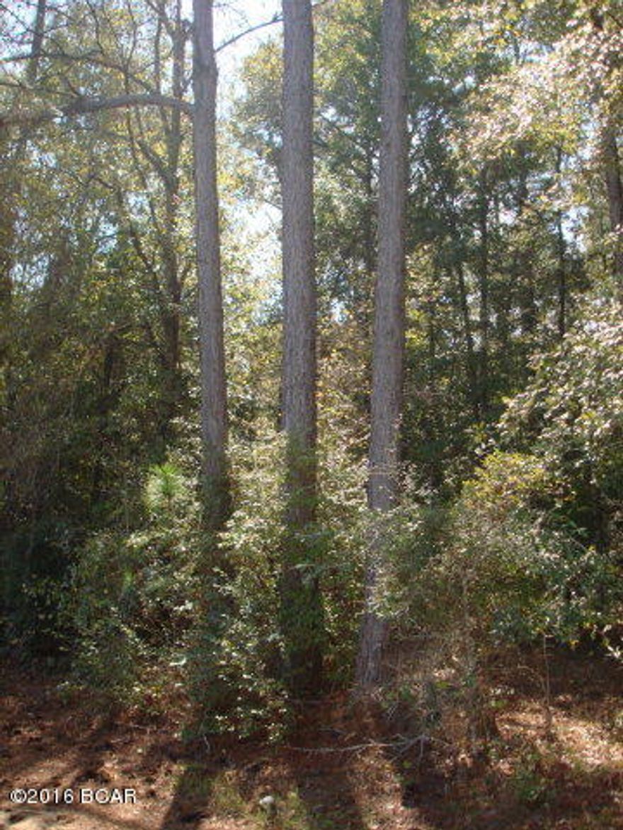1.51 Acres in Cottondale, Florida near Seay and Syfrett Road. Property is wooded. quite and secluded.