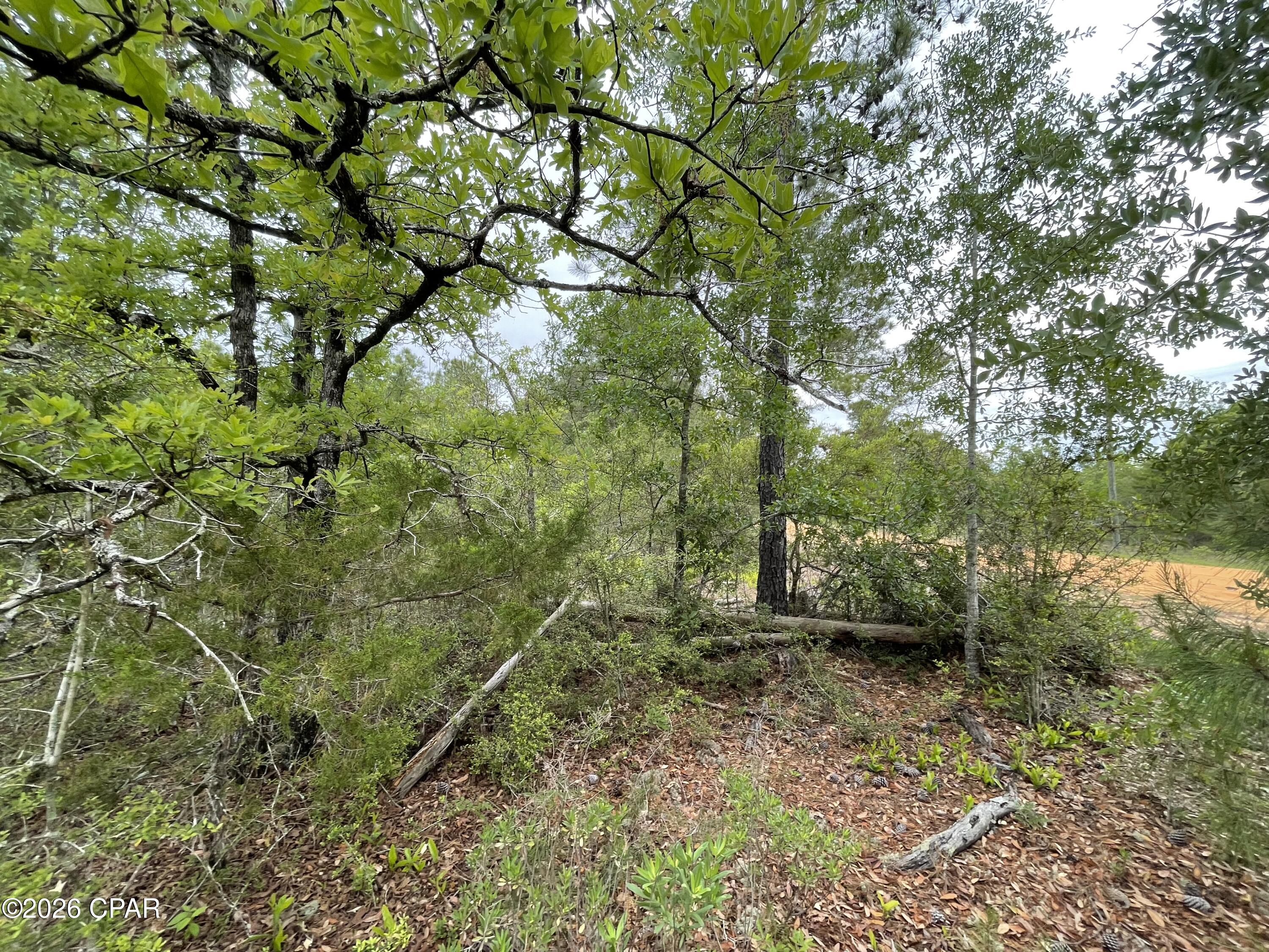 Compass Lake Hills Unit 2 - Land