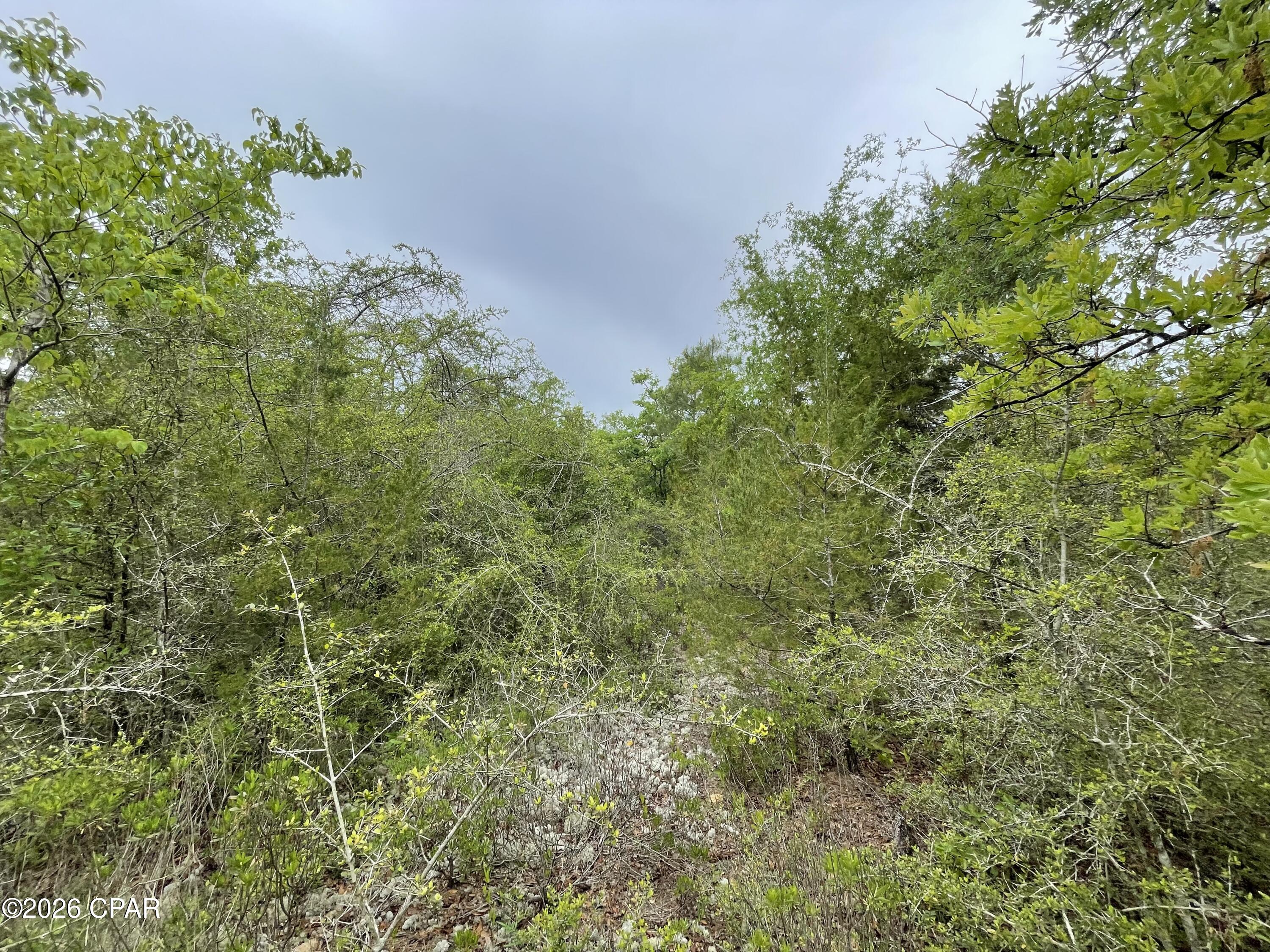 Compass Lake Hills Unit 2 - Land