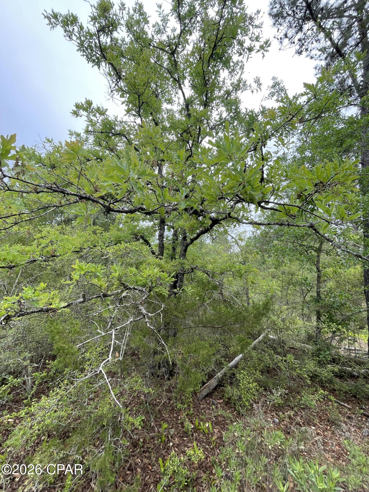 Compass Lake Hills Unit 2 - Land