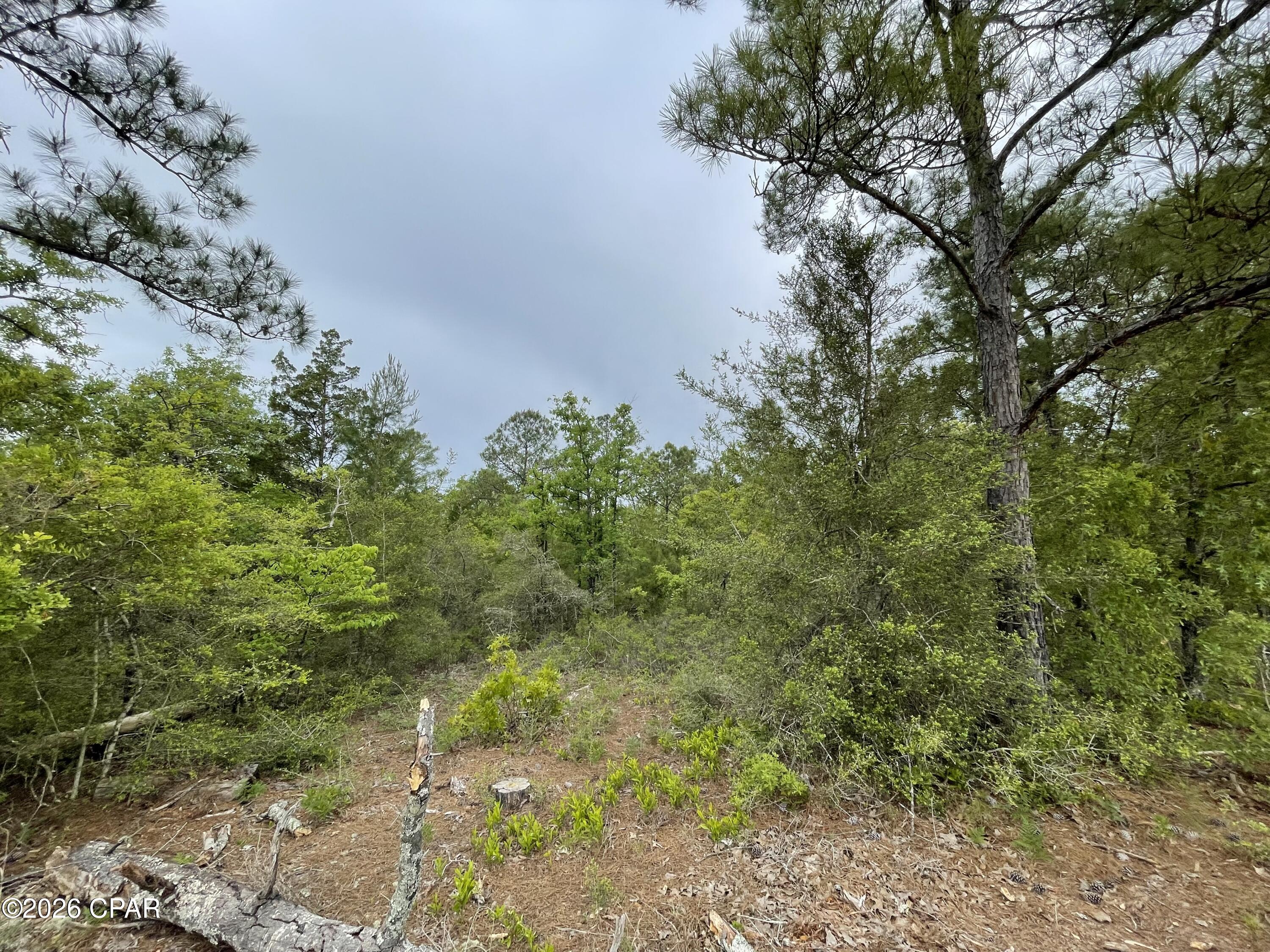 Compass Lake Hills Unit 2 - Land