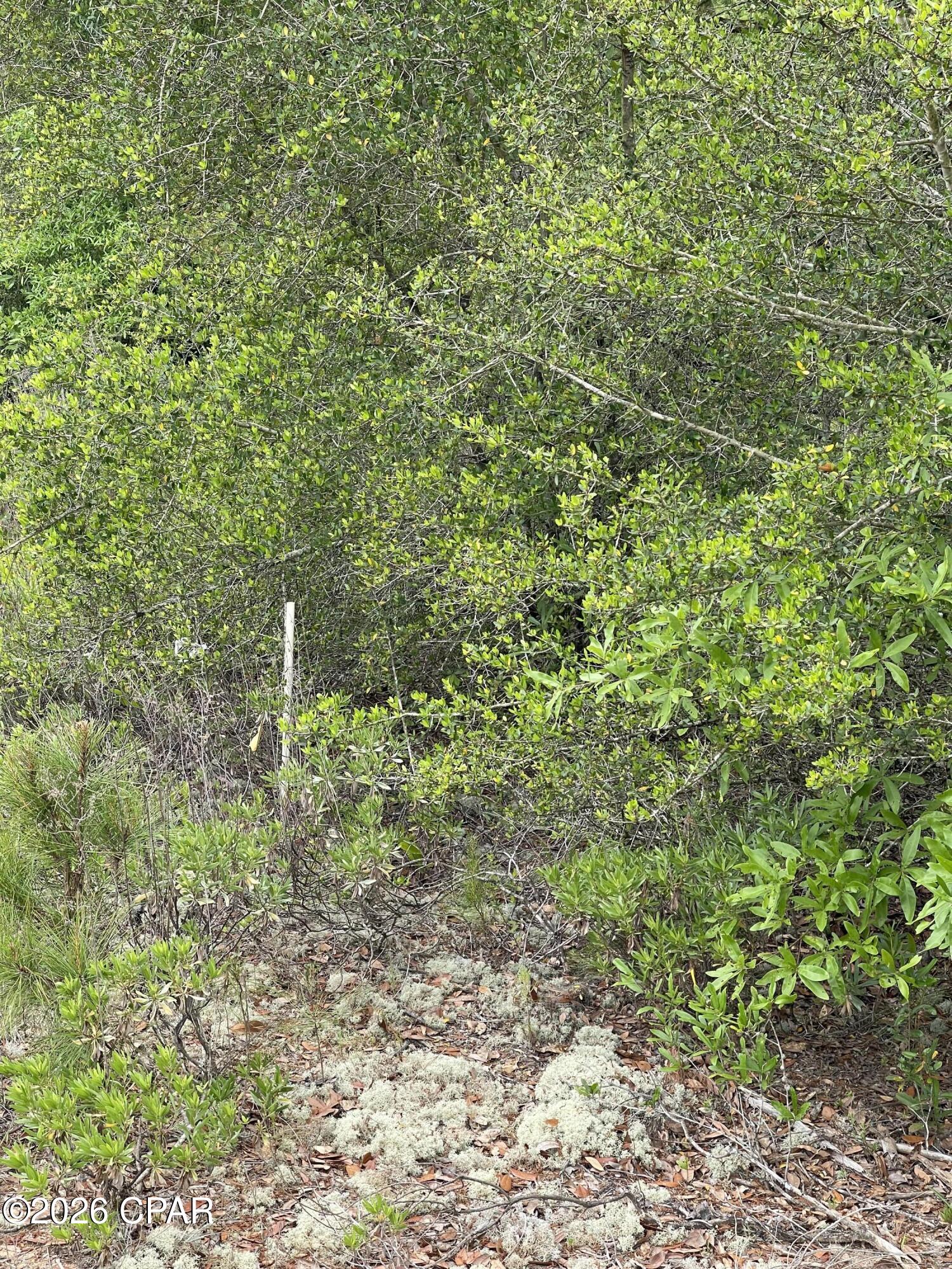 Compass Lake Hills Unit 2 - Land