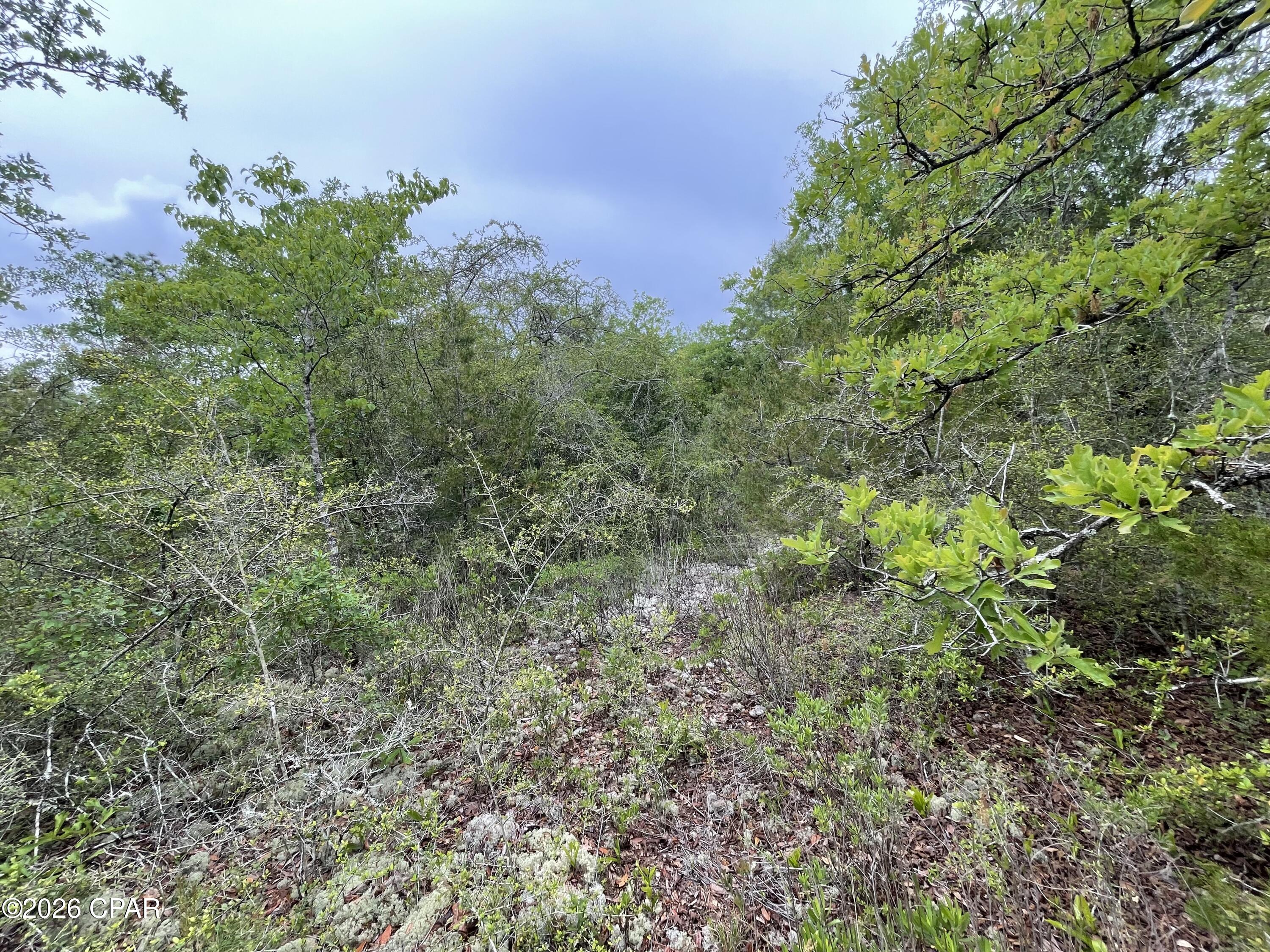 Compass Lake Hills Unit 2 - Land