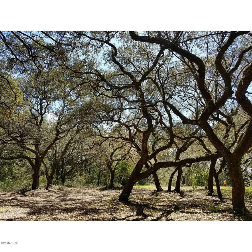 Waterfront on canal with access to West Bay.  Can be combined with MLS 670616.