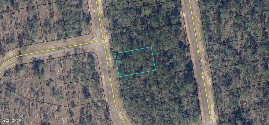 Great building lot in Sunny Hills. This community is located 25 miles north of Panama City and 18 miles south of Chipley. This deed restricted subdivision features a popular 18 hole public golf course, secure swimming beach at Boat Lake, and many fine fishing lakes. Great opportunity to invest in the future of the Florida Panhandle. Buyer to pay Title Insurance, Closing fee, and doc stamps on the Deed.