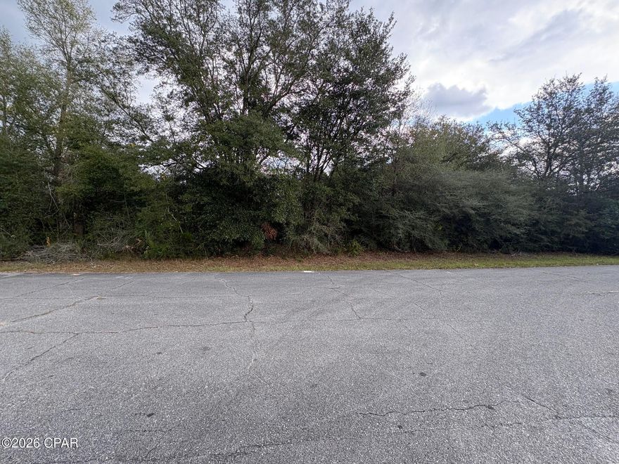 Attention builders and developers... large lot, just under a half acre at .448 to be exact! Don't miss this exceptional opportunity to own a large building lot in Unit 1 of Sunny Hills, located at Lot 7 on Belmar Place. This parcel offers an outstanding homesite with flexibility for a custom build and a spacious rear yard that gradually slopes down to a unique water feature on a Deltona owned 62 acre greenspace. This property provides excellent rear privacy and a peaceful natural setting. This section of Unit 1 has lots and lots of existing homes along with brand new construction. Conveniently situated just off Sunny Hills Blvd and very close to Highway 77, the location offers quick access north to Chipley and south to Panama City and the Gulf Coast beaches. Water and power are available, making this lot ready for immediate development (buyer to verify all utilities). With its oversized dimensions, privacy, strong location, and attractive price point, this property is ideal for builders, investors, or anyone looking to secure a premium homesite in a growing Northwest Florida community. Priced to sell... bring your plans and start building your new home!