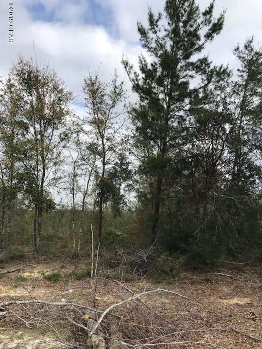 Beautiful waterview lot in Mill Creek Subdivision.  This unimproved wooded lot is just under 1 acre.  It is located on a quiet cul de sac and backs up to Mill Pond.  Build your custom home and enjoy how beautiful it is.  There is no HOA, but there are deed restrictions.  Private well and septic needed.  Underground utilities.  Survey is available.